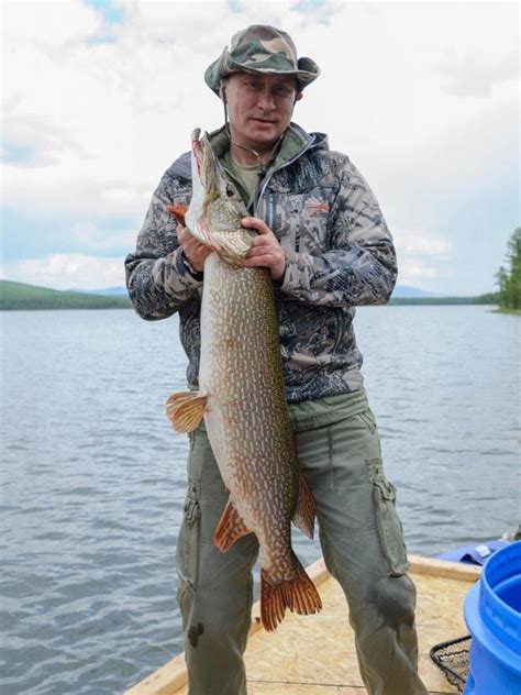 Is there pike in Russia?