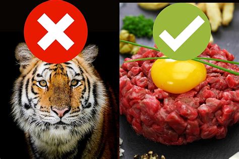 Is tiger meat cured?