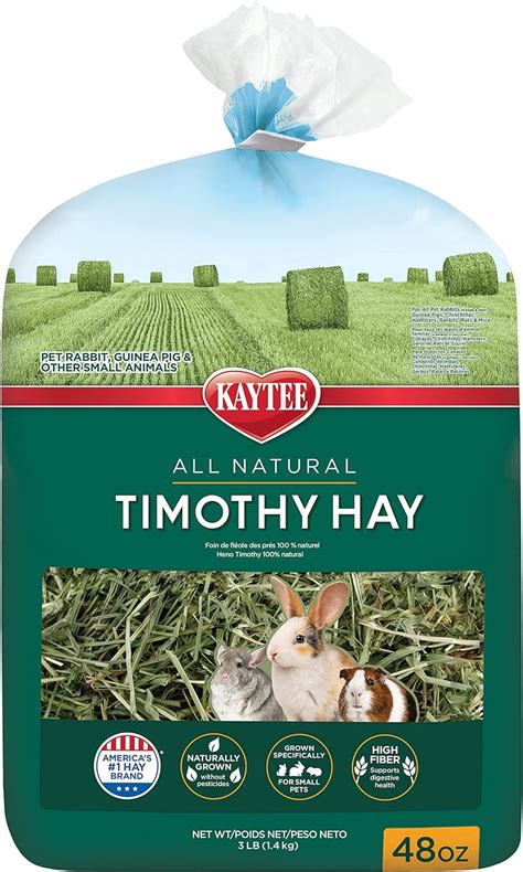 Is timothy hay bad for hamsters?