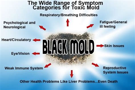 Is toxic mold always black?