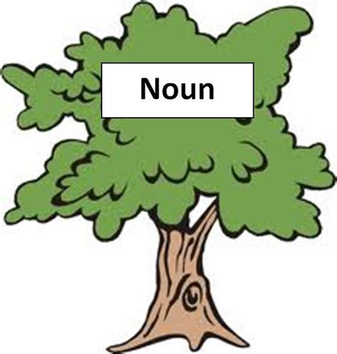 Is tree a noun an object?