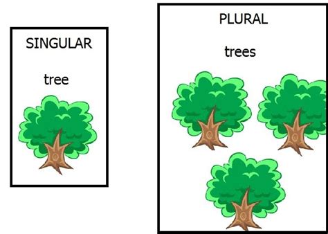 Is tree a singular or plural?
