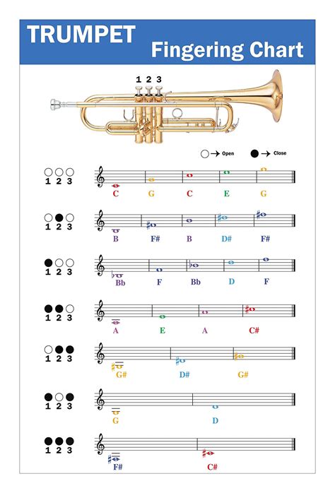 Is trumpet beginner friendly?