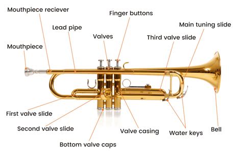 Is trumpet in the key of C?