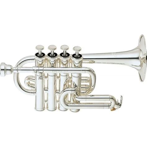 Is trumpet the most difficult instrument?