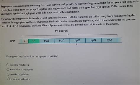 Is tryptophan an amino acid necessary for E. coli?