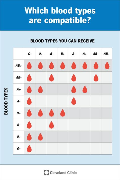 Is type O blood healthier?