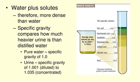 Is urine heavier than water?