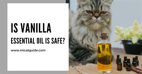 Is vanilla OK for cats?