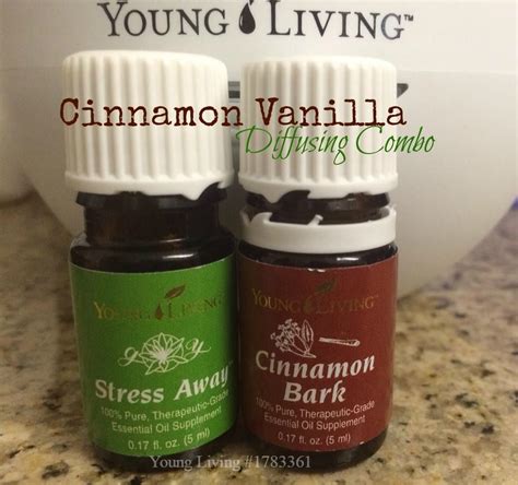 Is vanilla and cinnamon a good combo?