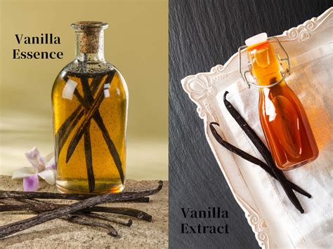 Is vanilla extract same as oil?