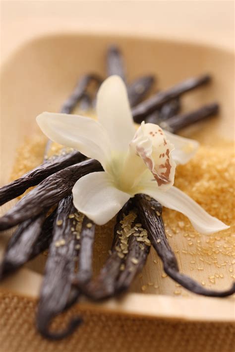 Is vanilla really exotic?
