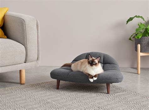 Is velvet sofa cat friendly?