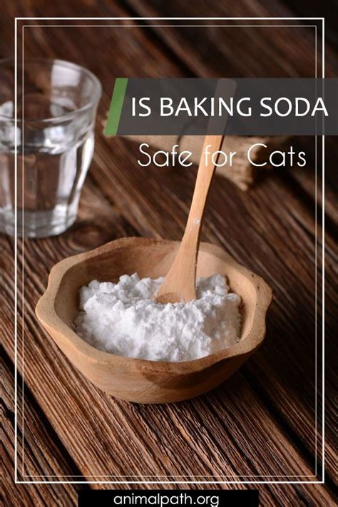 Is vinegar and baking soda safe for cats?