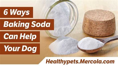 Is vinegar and baking soda safe for dogs?