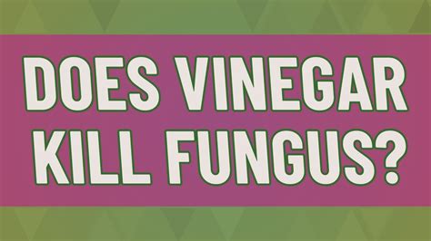 Is vinegar killing fungus?
