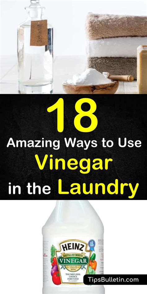 Is vinegar or laundry detergent better?