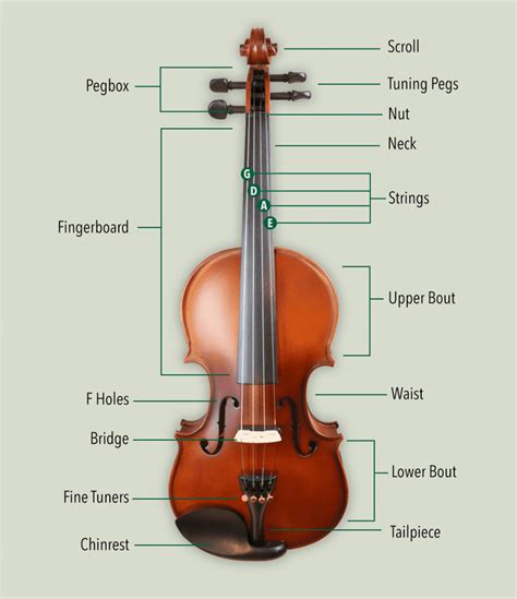 Is violin an F instrument?