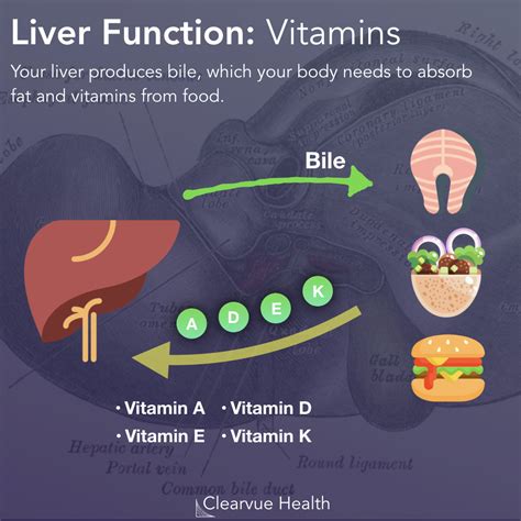Is vitamin B hard on the liver?