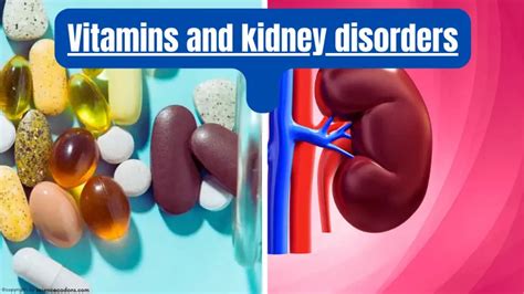 Is vitamin B3 hard on kidneys?