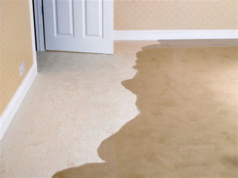 Is water bad for carpet?