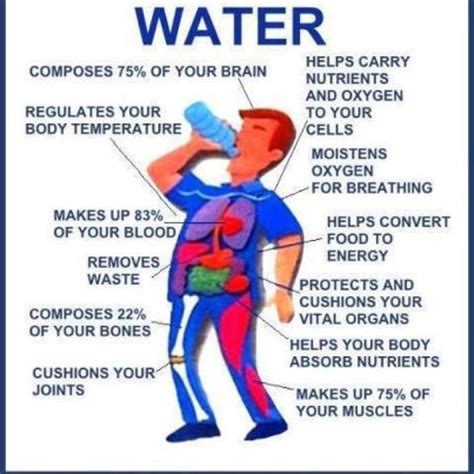 Is water good for ADHD?