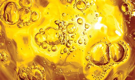 Is wax a fat or oil?