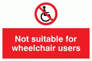 Is web check in not allowed for wheelchair users?