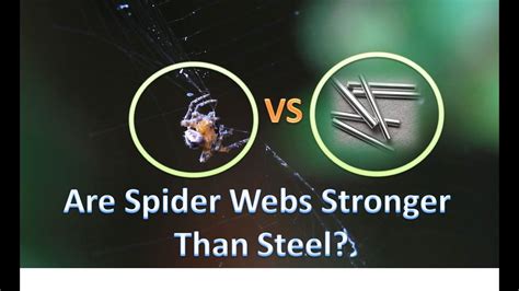 Is web stronger than steel?