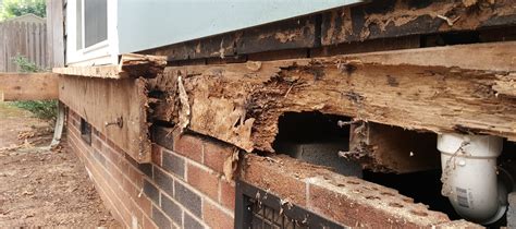 Is wet rot expensive to fix?