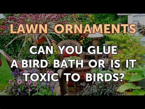 Is white glue toxic to birds?