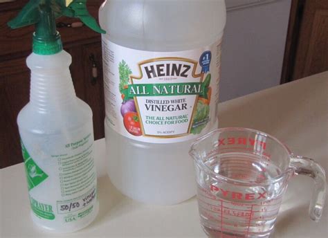 Is white vinegar soluble?