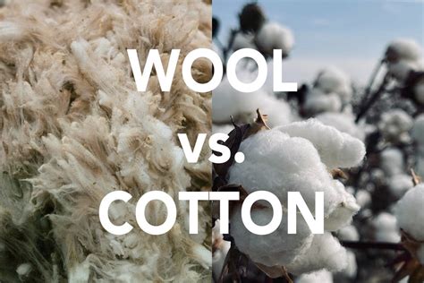 Is wool warmer than cotton?