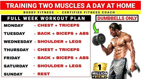 Is working out 2 days a week enough to Build muscle?