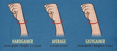 Is wrist size genetic?