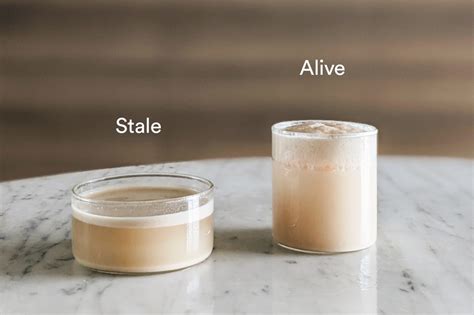 Is yeast still alive after fermentation?