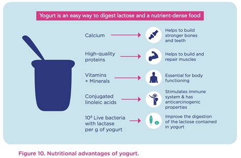 Is yogurt nutrient-dense?