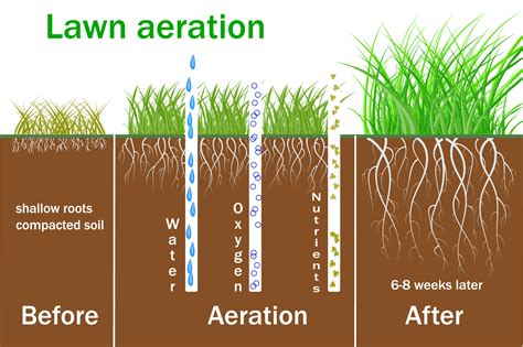 Should I aerate my nutrient solution?