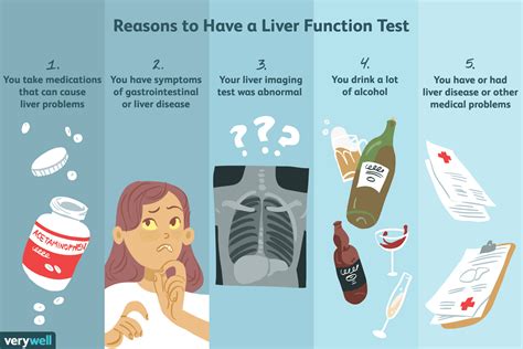 Should I be worried about mildly elevated liver enzymes?