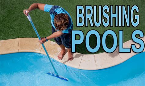 Should I brush pool with pump on?