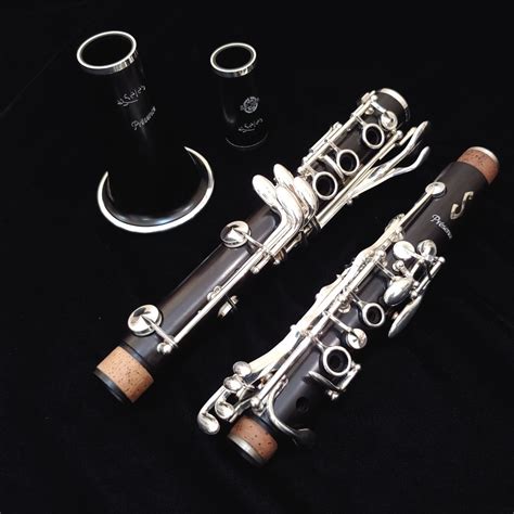 Should I buy a professional clarinet?