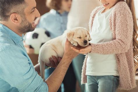 Should I buy my kid a dog?