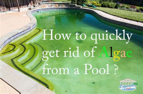 Should I drain my pool to get rid of algae?