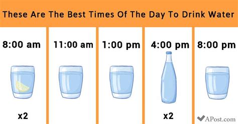 Should I drink water every 2 hours?