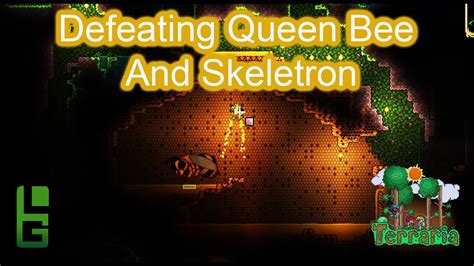 Should I fight queen bee or Skeletron first?