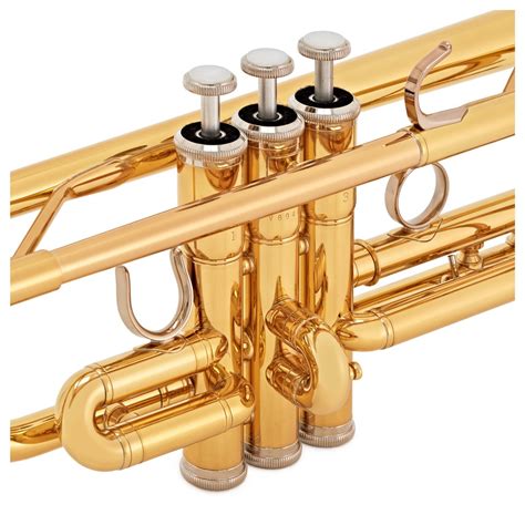 Should I get a BB or C trumpet?
