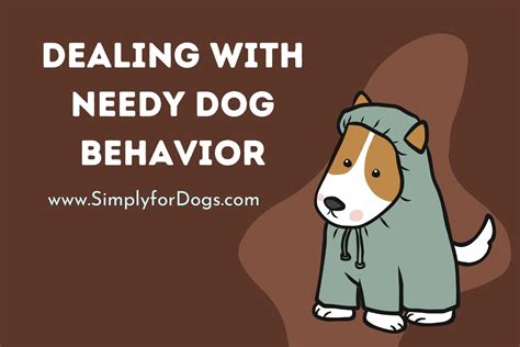 Should I ignore a needy dog?