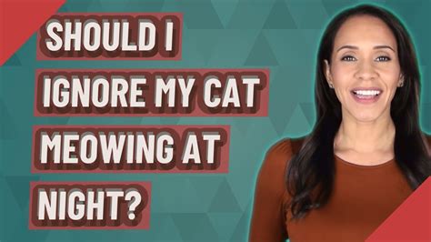 Should I ignore cat meowing?