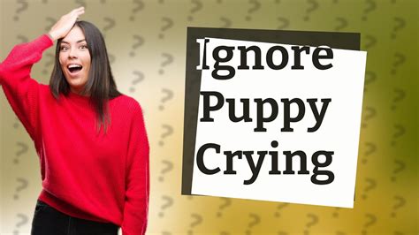 Should I ignore my puppy crying at night?