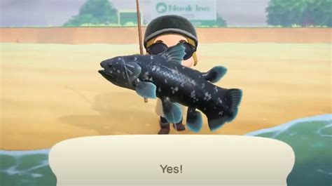 Should I keep my fish in Animal Crossing?